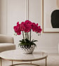 Luxury Fuchsia Orchid Arrangement in Silver Vase - Elegant Modern Home Decor