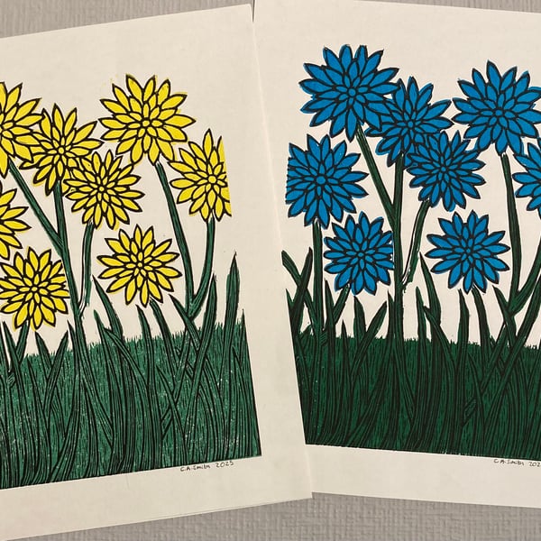 Dahlia flower garden