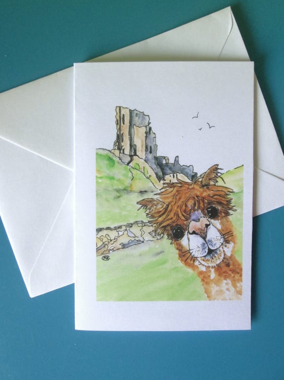 Alpaca at Corfe Castle blank card print 