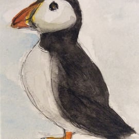 Puffin - miniature pen, ink, watercolour of bird