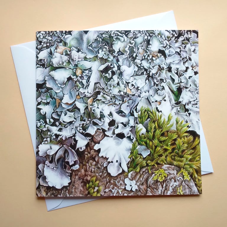 Greetings card - blank - Lichen and Moss