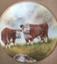 Herefordshire. Handpainted Bone China Coupe Plaque  - Image 3