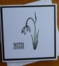 Sympathy Card - Snowdrop - Image 1