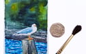 Original Paintings - Cornwall 