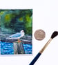 Original ACEO Miniature Watercolour Painting , Seagull at Looe, Cornwall