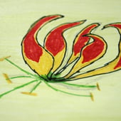 Flame Lily Crafts