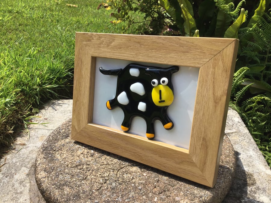 Quirky and fun 3 dimensional glass cow picture in wood frame 
