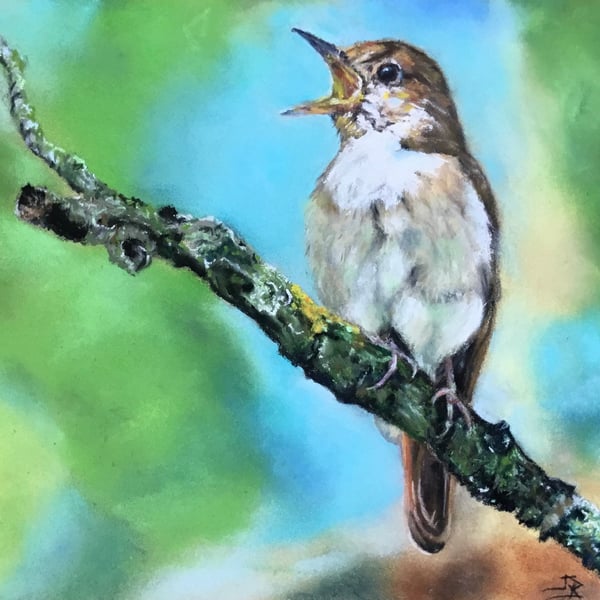 Top quality giclee print of 'Melody Maker' a nightingale painting by artist Jane