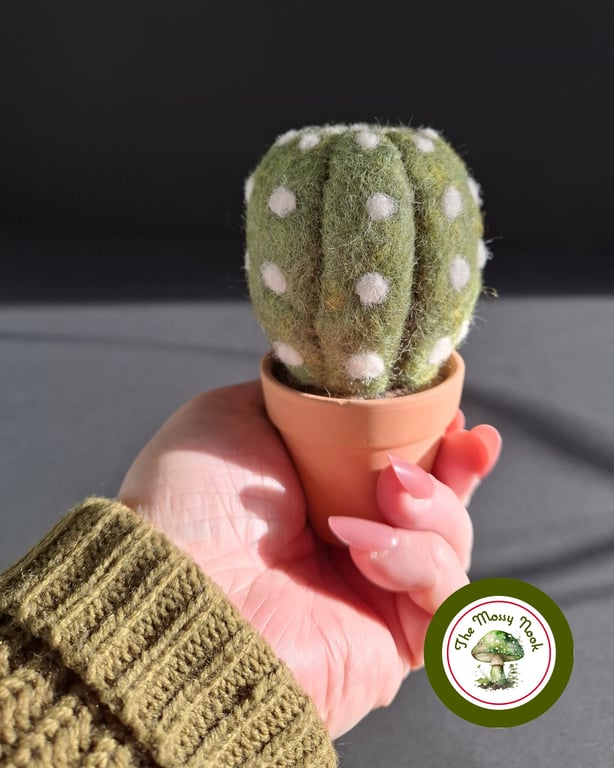 Desert Cactus. Needle Felted with Wool Fibres. Real Terracotta Pot.