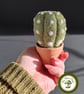 Desert Cactus. Needle Felted with Wool Fibres. Real Terracotta Pot. - Image 1