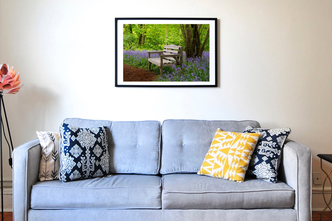 Bluebell woodland seat print