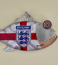 Handmade Recycled Wood & Metal Fish Wall Art: England Football Team Squad 