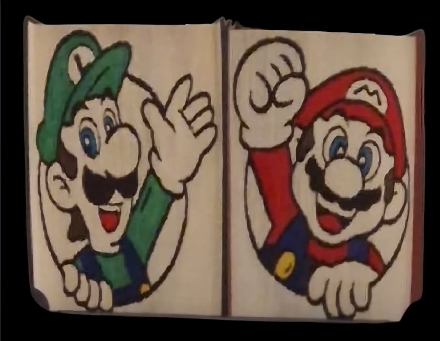 Mario & Luigi book folds!
