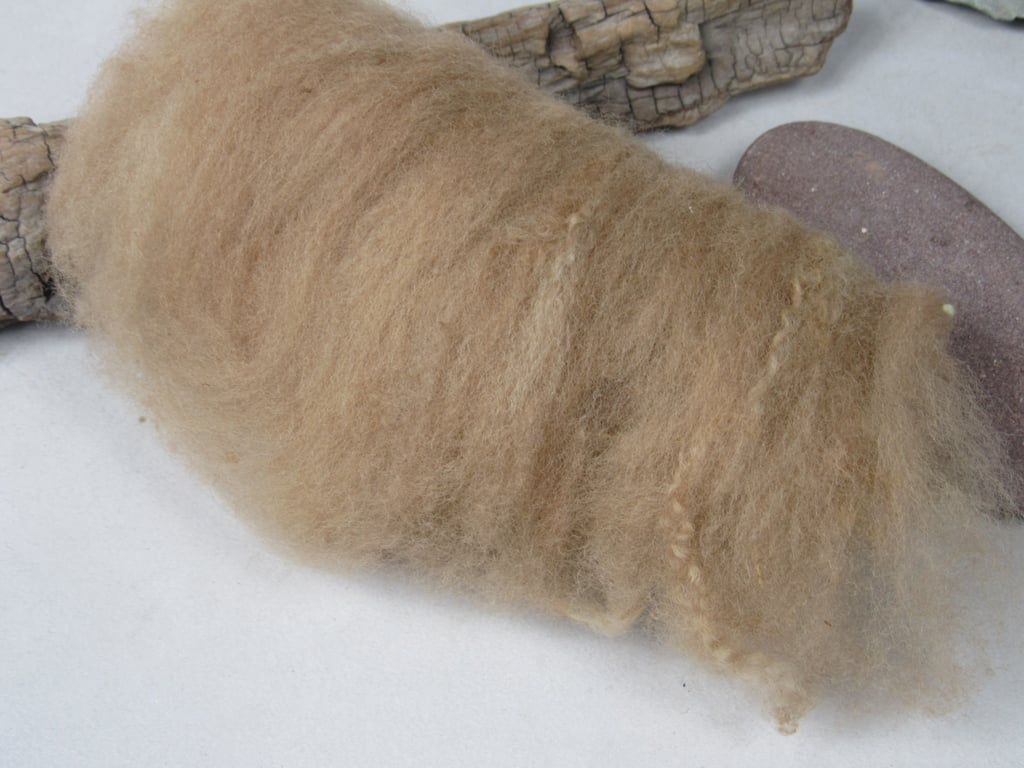 10g Naturally Dyed Walnut Brown BFL Shetland Felting Wool