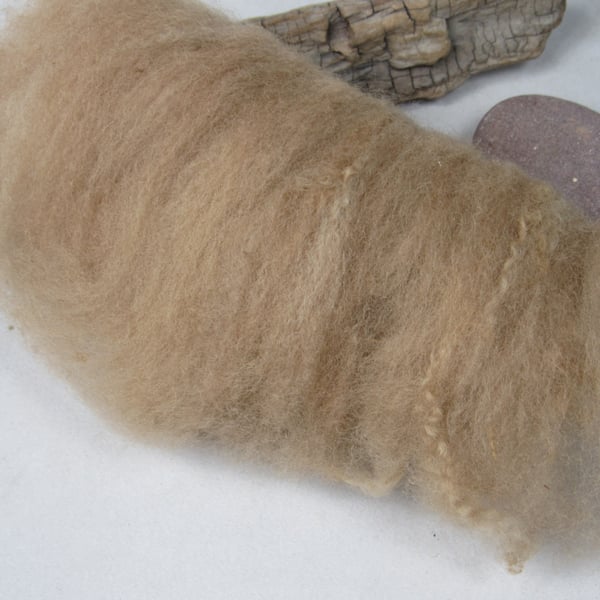 10g Naturally Dyed Walnut Brown BFL Shetland Felting Wool