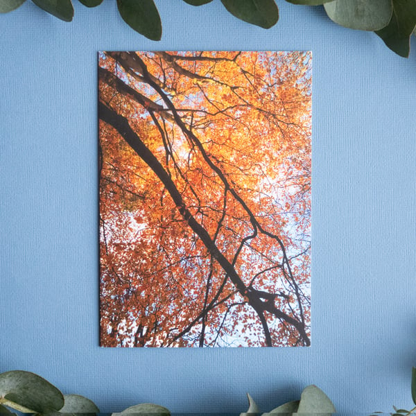 Landscape Greetings Card - Blank - Autumn Trees, Bramhall 
