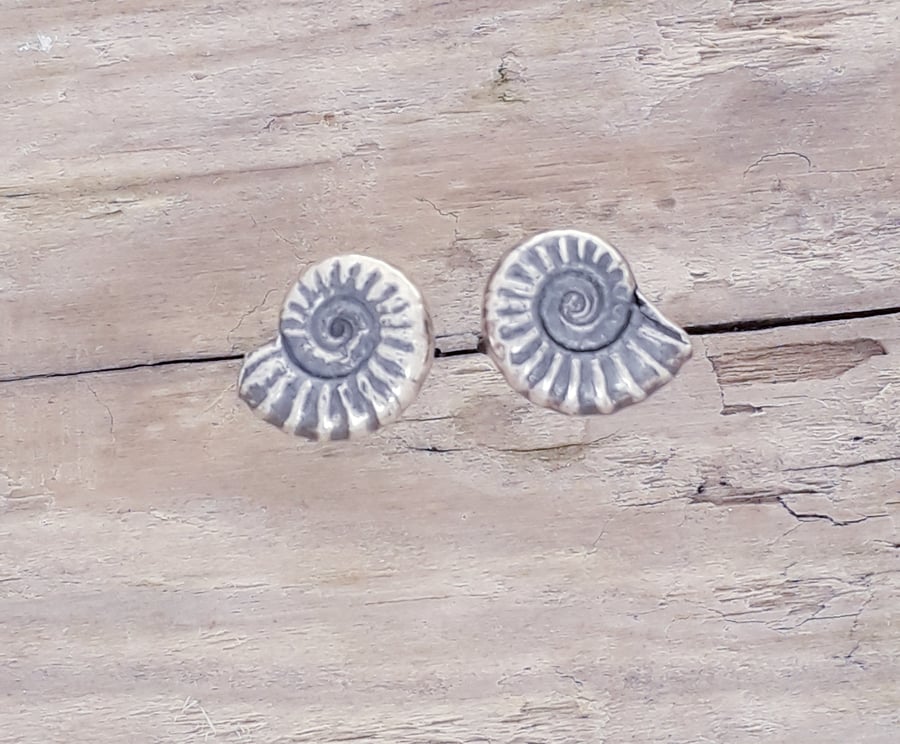 Silver Ammonite studs