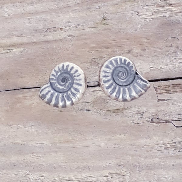 Silver Ammonite studs