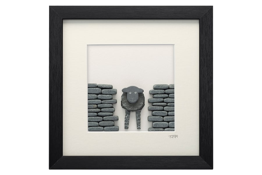 Herdwick Lamb at the gate 