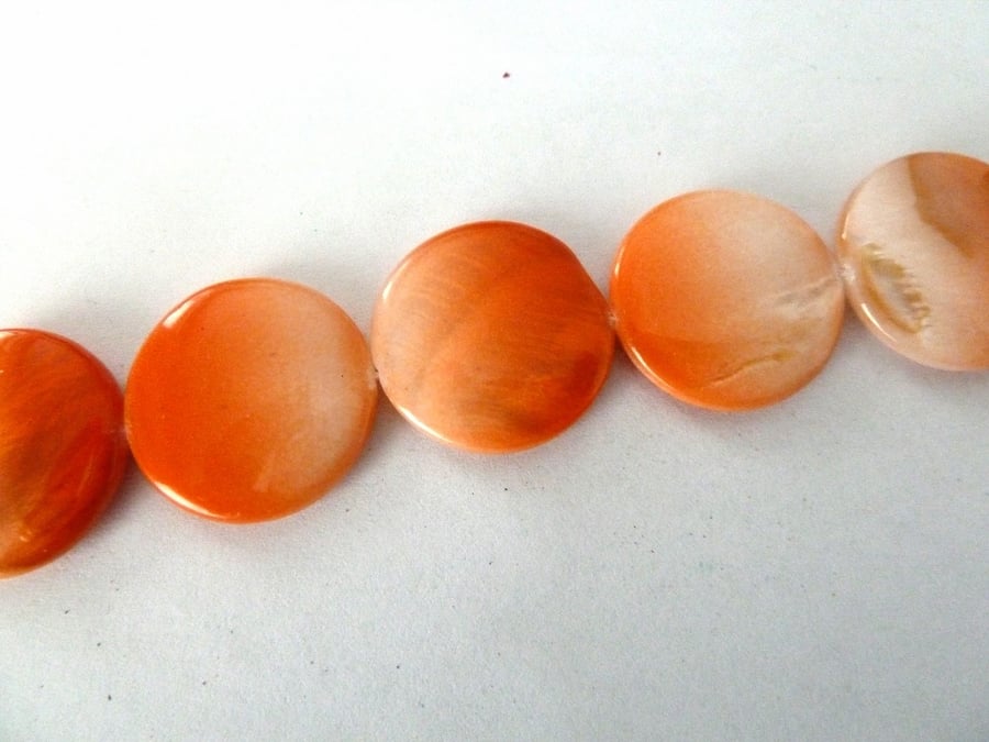 SALE orange shell disc beads