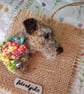 Needle Felted Border Terrier Brooch
