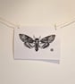 Death Moth in Black - Original Lino Print - Image 4