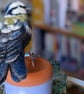 Woollen detailed Blue Tit - Reserved for Kate  - Image 4