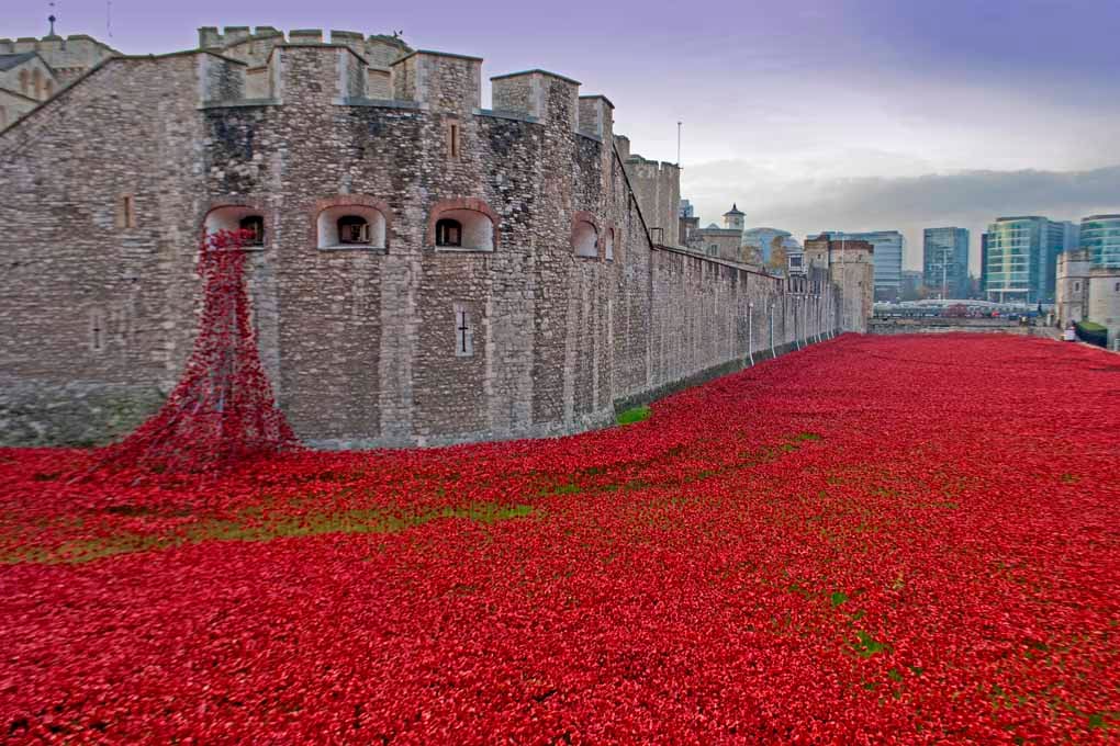 Tower Of London Red Poppy England Photograph Print
