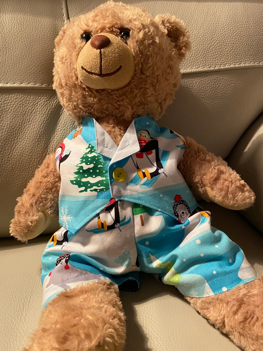 Teddy Bear Snow Scene Outfit
