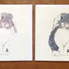 Offer pack of 2 x Pink Bunny greetings cards and 2 x Blue Bunny greetings cards
