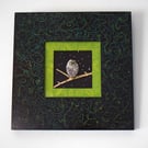 Hand painted, upcycled picture frame and owl pebble art
