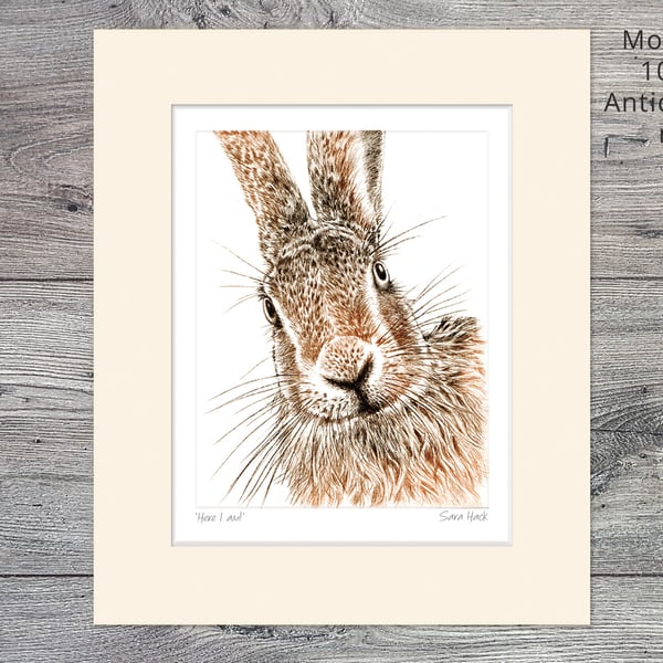A Hare Print. Drypoint Print, 'Here I am', Short run, 10" x 12" Mounted
