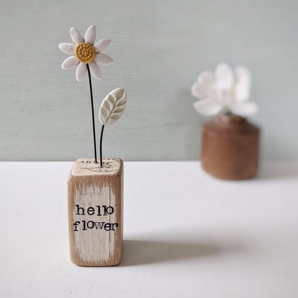 Clay Daisy Flower in a Printed Wood Block 'hello flower'
