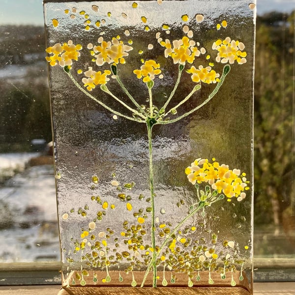 Cheerful Cow parsley Flower fused glass Art & wooden display stand