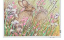 From £25 - 6 x 4" postcard size, original art