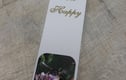 Bookmarks