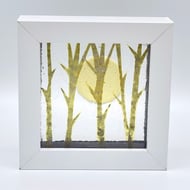 Silver Birch and Sunshine Fused Glass Frame