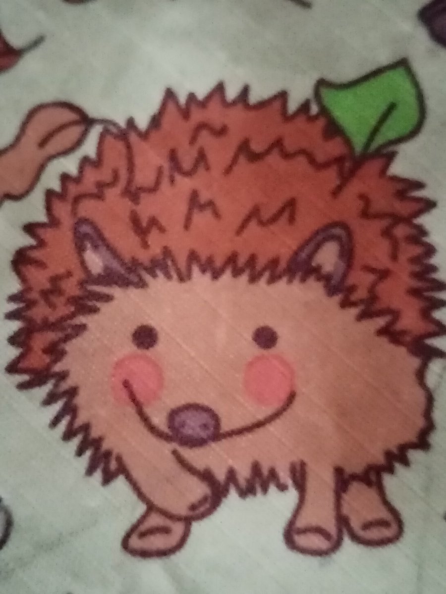 Happy Hedgehog Shop