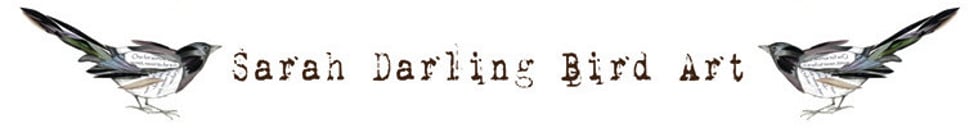 Sarah Darling Bird Art