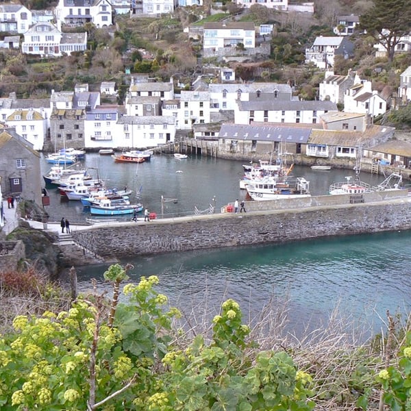 Polperro Harbour