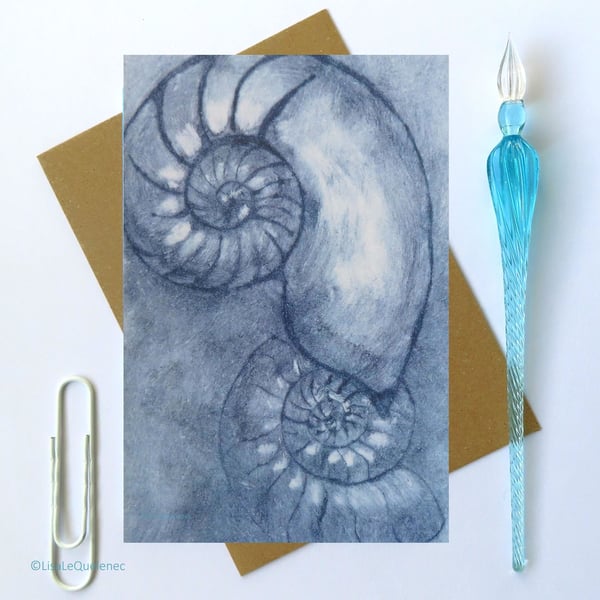 duet ammonite fossil card modern artist card Jurassic coast cellophane free