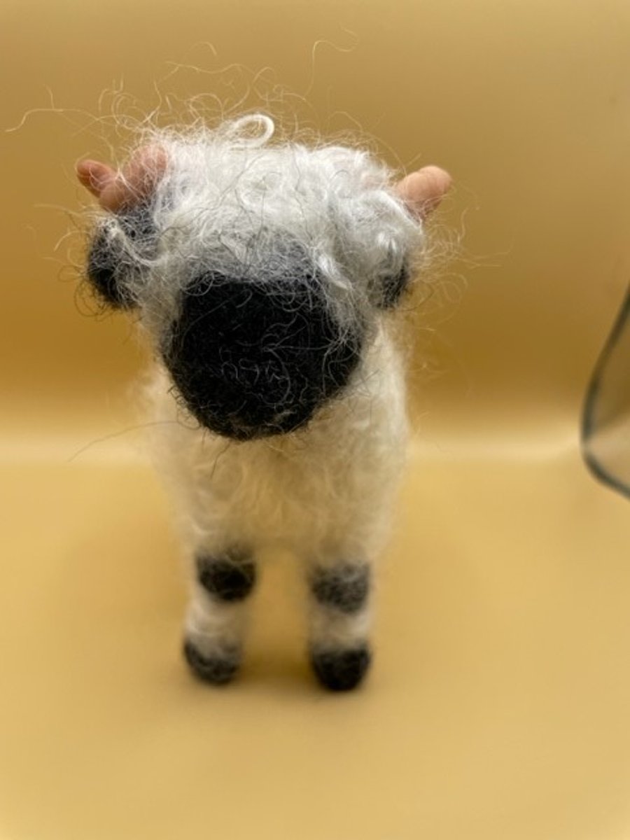 Valais black nosed sheep