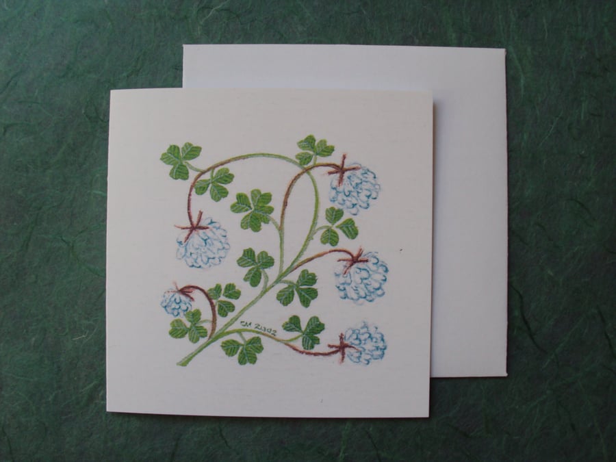 Clover floral square printed card four leaved clover card