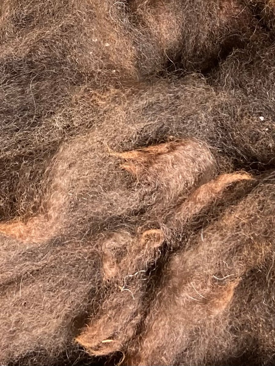Unprocessed Alpaca Fibre - 50g - Chestnut Brown. 