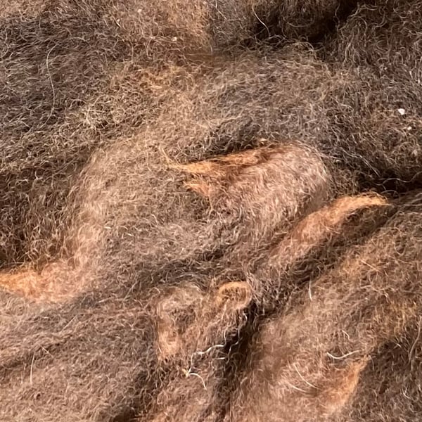 Unprocessed Alpaca Fibre - 50g - Chestnut Brown. 