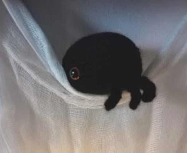 Shy Halloween Spider 