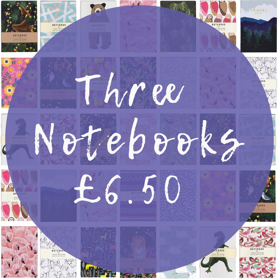 Offer! Three Mini Notebooks