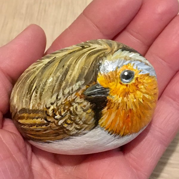 Robin painted pebble garden rock art stone portrait wildlife art 