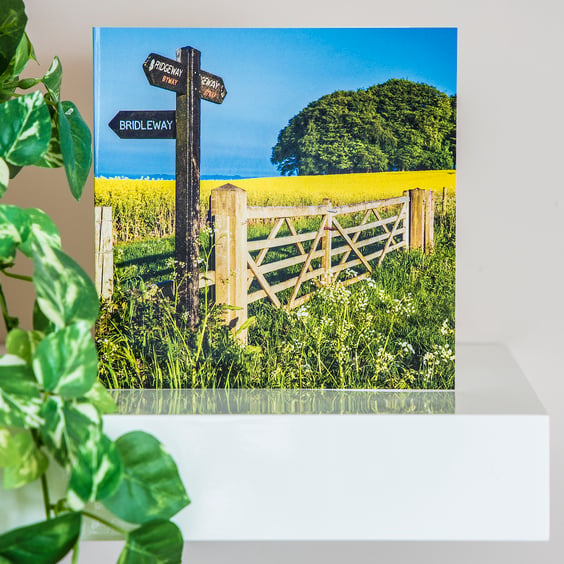 Yellow Rape Field Blank Greetings Card footpath sign farm gate landscape summer