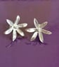 Star of Bethlehem Flower stud earrings made from Silver - Image 6